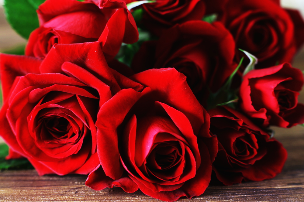 電話相談　電話占い　霊視　霊感　鑑定　当たる：スピリチュアルカウンセリングMEDIUM