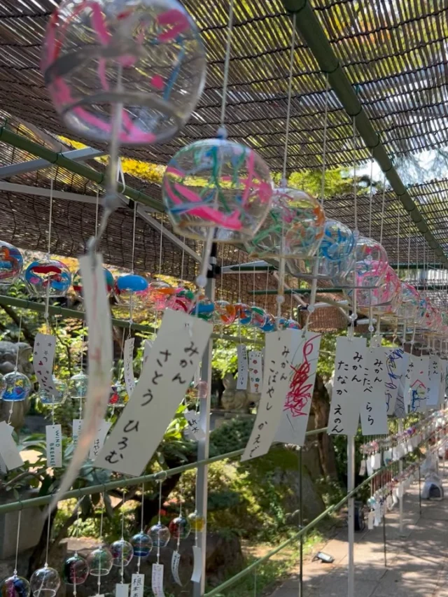 お参りに茨城県　関東最古の八幡宮・大宝八幡宮（だいほうはちまんぐう）へ来ました！！パワーアップ！！

こんにちは！マネージャーのロクさんです✨

いつもご覧いただきありがとうございます！！🙇‍♂️😛​

この日は8月初旬で暑かったです。

✨スピリチュアルパワースポット✨

茨城県にある関東最古の八幡宮・大宝八幡宮（だいほうはちまんぐう）をご紹介！！

大宝八幡宮は、白鳳時代の末期、文武天皇の大宝元年（七〇一）、藤原時忠が、常陸国河内郡へ下向の時、筑紫（大分県宇佐市）の宇佐八幡宮を勧請（神仏の分霊を請じ迎えること）して創建されたという。東国平定のための鎮護の神として、八幡宮を勧請したのである。宇佐八幡宮は、莵狭津彦命を祖とする宇佐諸石が、欽明天皇二十九年（五六八）に八幡神を勧請したのに始まるという。八幡神とは、応神天皇を主座とし、文武の神として尊崇されており、八幡宮の祭神として祀られる。

✨宝くじ当選祈願と財運招福の御利益✨

宝くじが当たると神社と言われる理由・当選実績

平成１７年（２００５）に、宝くじ売り場を運営する企業さんが、販売前の宝くじを神社に持ち込み高額当選を祈願しました。すると翌年、ドリーム・サマー・年末ジャンボで２等１億円が８本！このうち３本はひとつの売り場からで、神社から最寄の下妻イオンチャンスセンターです。
その後も高額当選は続き、平成１８〜２２年の５年間で累計当選額は３８億円を越えています。（１００万円以上の当選のみ加算）良く当たると全国的に知られている売り場はそれだけ販売枚数も多いはず。茨城県内であることを考えると、かなりの確率になるのではないでしょうか。
高額当選の実績として一例を挙げると・・・２０１５年６月２３日（火）、宝くじ売り場を運営されている企業さんが高額当選の御祈願をお受けになりました。すると・・・わずか３日後の２６日（金）、大宝八幡宮から車で３０分ほどの、桜川市御領にある「スーパーカスミ岩瀬店前」のチャンスセンターにて、ロト７一等８億円が出ました！

ご利益がありますように🙇‍♂️😛

📍茨城県土浦市Medium-spiritual
🚃JR常磐線荒川沖駅下車　西口から徒歩５分💌霊視鑑定・スピリチュアルカウンセリングのご予約は @mediumibaraki 🔗から
対面・電話・オンライン🆗
#霊障害
#除霊
#電話鑑定
#スピリチュアル
#霊能者
#茨城県
#大宝八幡宮⛩️
#パワースポット
#霊視鑑定
#星占い